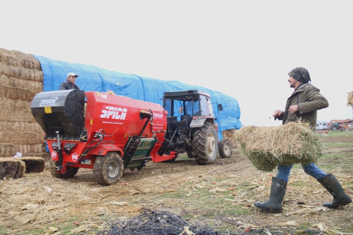 Üniversite Mezunu Çoban 35 Koyundan 450’Ye Uzanan Hikaye