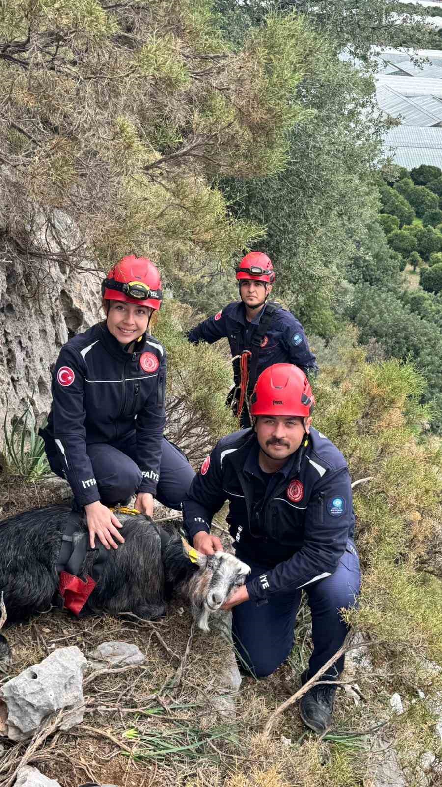 Antalya Kayalıklar Mahsur Kalan Keçi 3 Gün Sonra Kurtarıldı