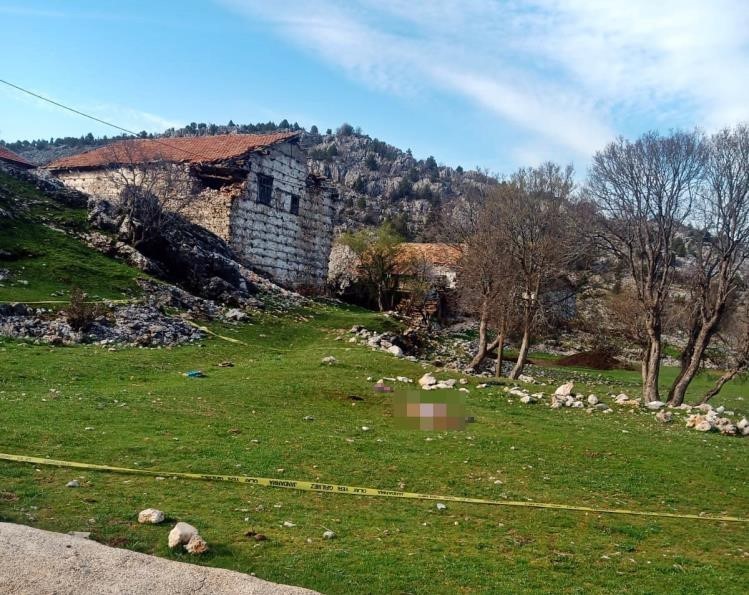 Antalya'da Köpek Saldırısı Sonrası Mahkeme Kararı Adalet Yerini Buldu Mu? 1