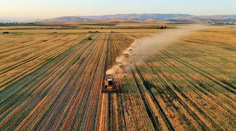 Tarımda Fiyatlar Düşüyor Yem Fiyatları Neden Yükseliyor?-1