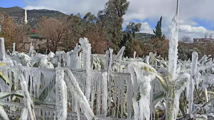 Adana’da Şaşırtan Görüntü! Sabah Bahçesine Girince Gördüklerine Inanamadı