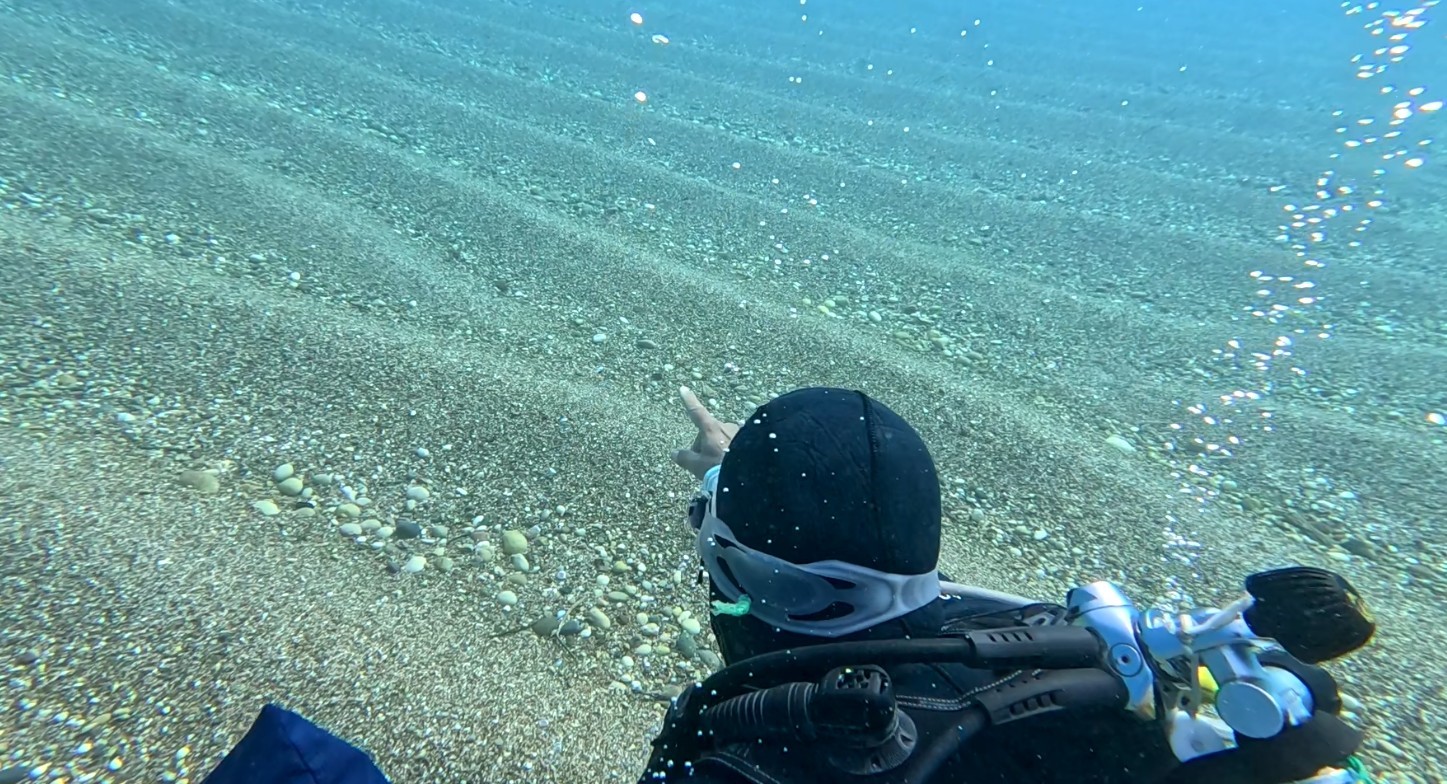 Berrak Suda Görülen Gizemli Canlı Antalya Körfezi'nde Ilk Kez Görüldü 1