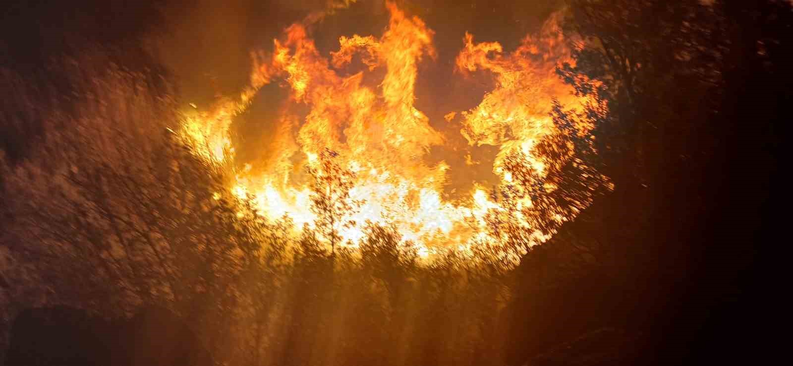 Burdur'da Sazlık Alanda Çıkan Yangın Söndürüldü 1