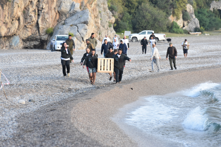 Antalya Kıyısında Bitkin Halde Bulundu, Aylar Sonra Denizle Buluştu