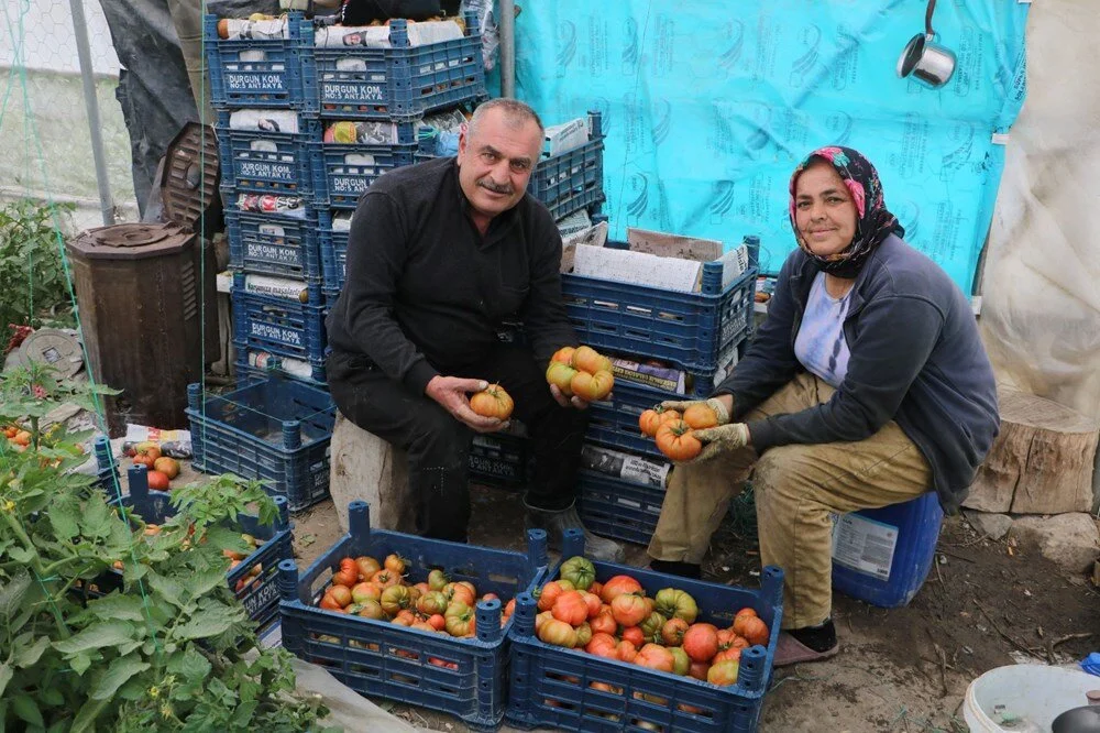 Bu Ürünün Fiyatı Neden 2 Katına Çıktı? Üreticiler Isyan Ediyor! 2