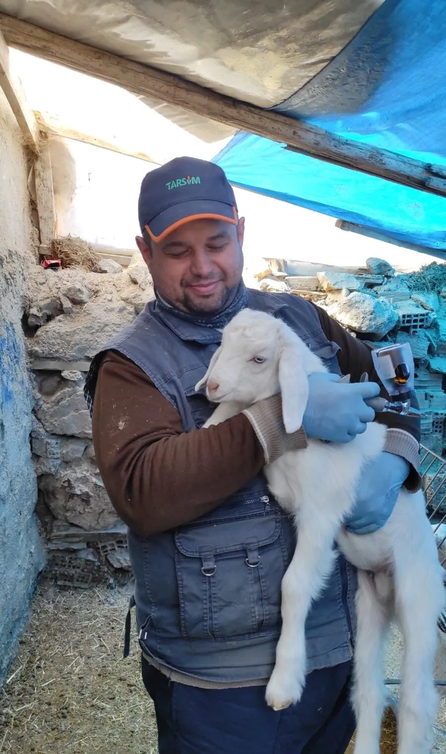 Burdur’da Küçükbaş Hayvanlara Aşılama Başladı! 2