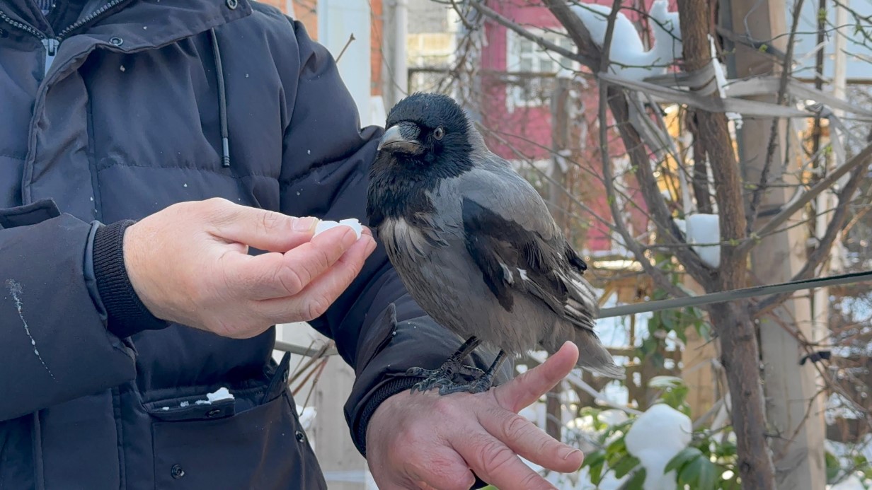 Eşi Benzeri Görülmemiş Anlar! O Anları Sahibinin Kaydetti 2