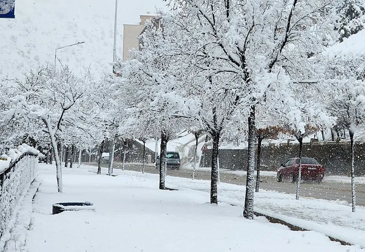 Kutup Soğuklarıyla Türkiye Buz Kesti!