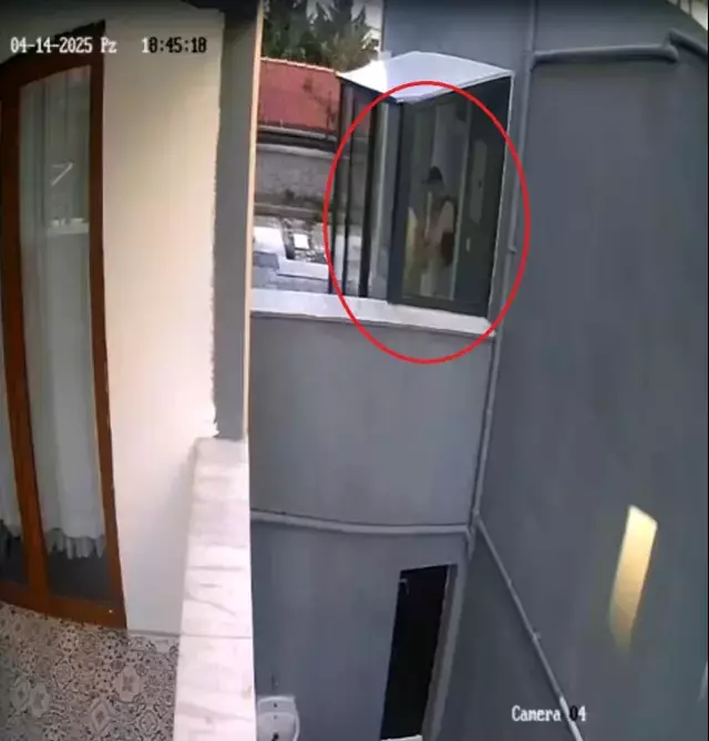 Parcalayip Oldurdugu Kopek Sayisi 26 Ya Ulasti 18572736 4436 M