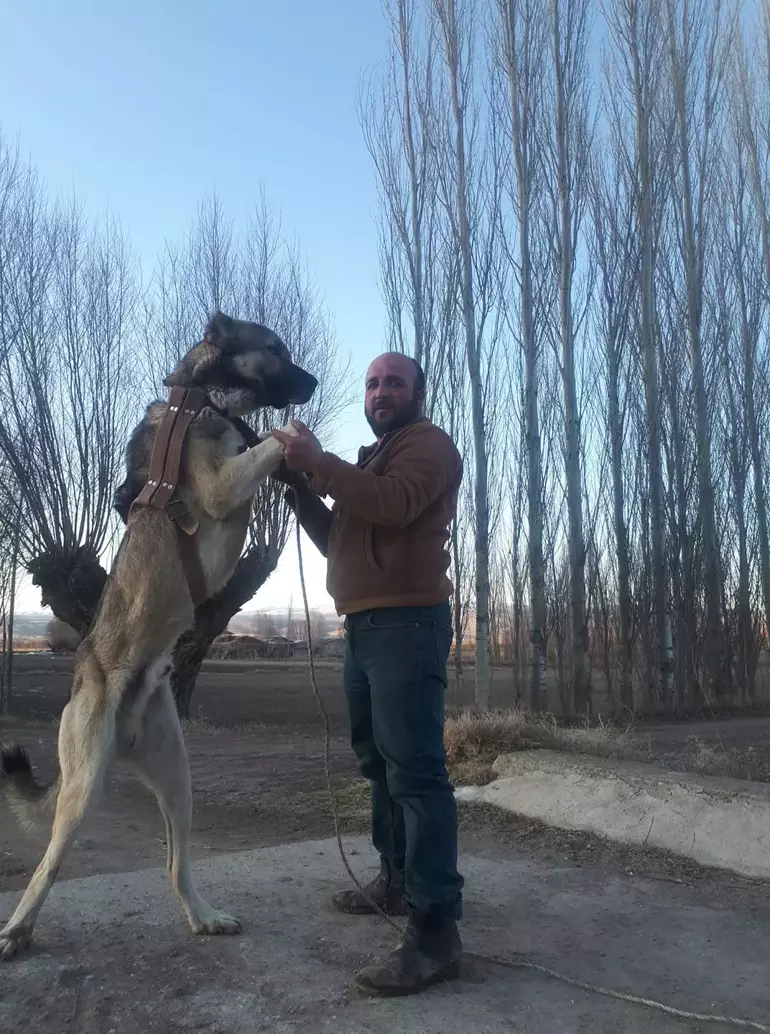 1 Kişi Tabancayla Vuruldu2