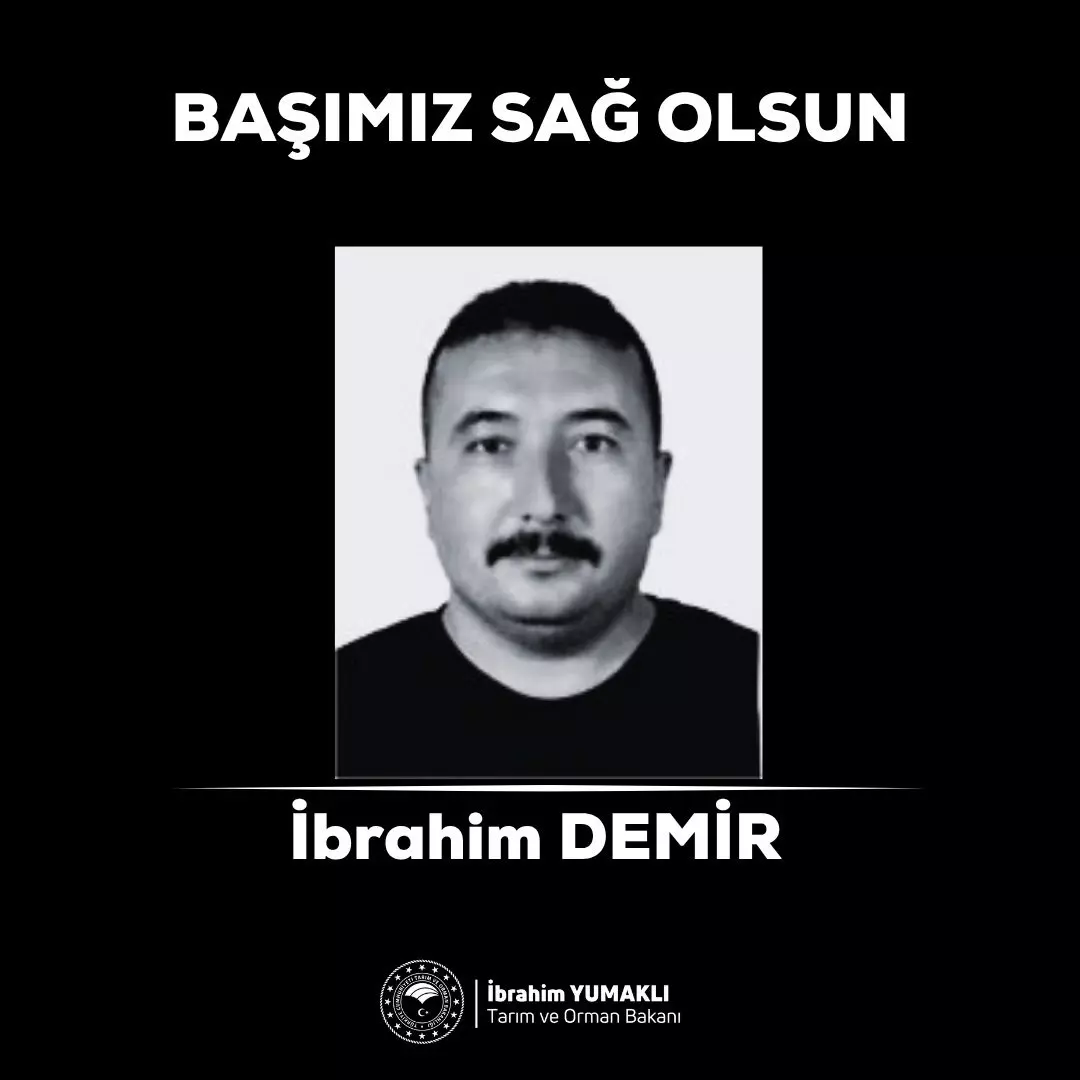 L Jd St 1751558550 3215