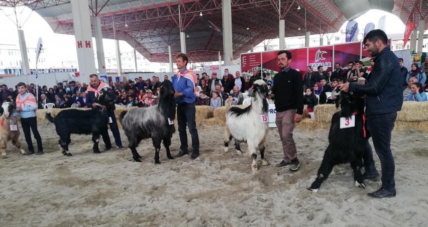 burdur-teke-yoresi